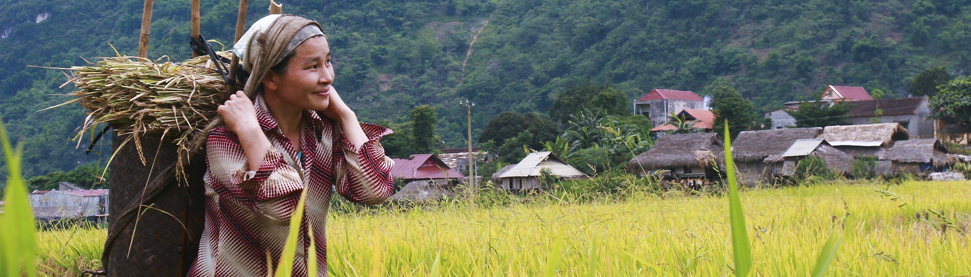 6 Days Trekking in Remote Places in North Vietnam